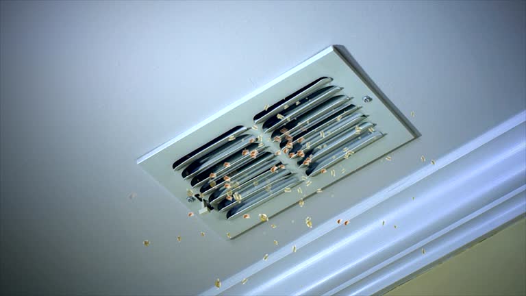 Best Commercial Air Duct Cleaning  in Prces Lakes, IN